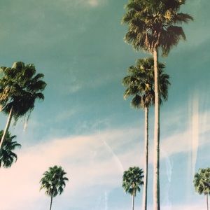 Meet your Posher, Manuel